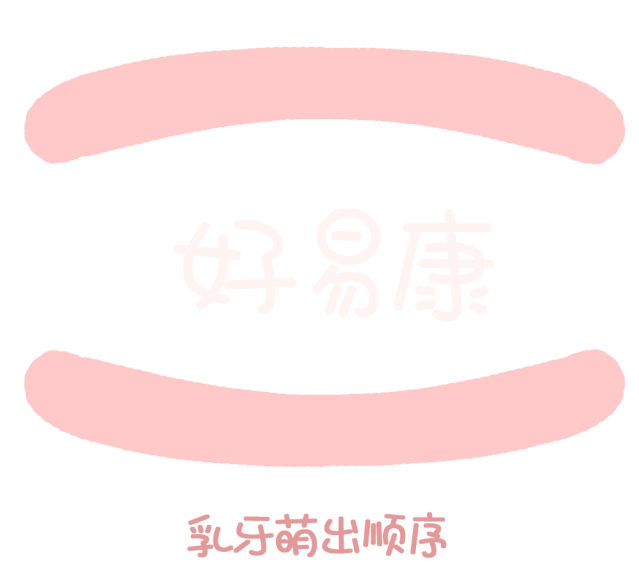 尚佳專業(yè)月嫂丨關(guān)于寶寶長牙問題，都在這里！